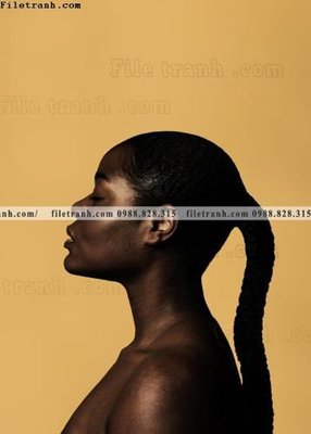 Tải file tranh Tranh chan dung chup anh nguoi 229 (ảnh gốc) ngay