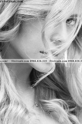 Tải file Tranh chan dung chup anh nguoi 239 (gốc) làm file quảng cáo