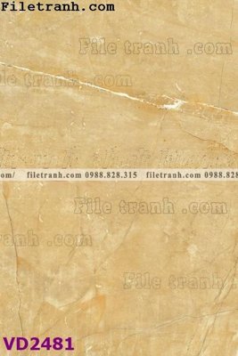 Tải file gốc File in vân đá cẩm thạch VD2481 (in không vỡ ảnh)