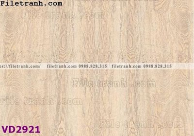 File tranh File in vân đá cẩm thạch VD2921 (gốc) phong cách tối giản