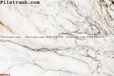 Tải file gốc File vân đá đá cẩm thạch VD5065 (in bạt) quảng cáo