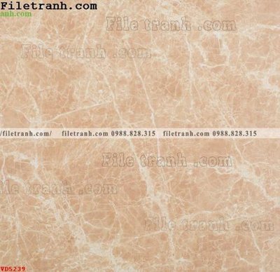 File gốc File vân đá đá cẩm thạch VD5239 (trang trí) phòng làm việc