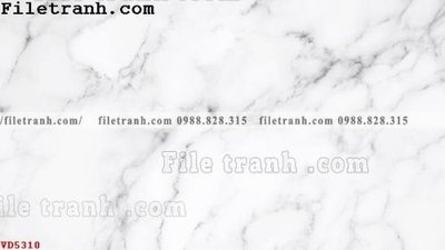 Tải file File vân đá đá cẩm thạch VD5310 (ảnh gốc) file TIFF