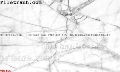 File tranh quảng cáo File vân đá đá cẩm thạch VD5456 (file gốc) chuyên nghiệp