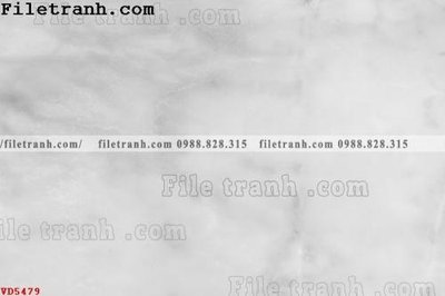Download file gốc File vân đá đá cẩm thạch VD5479 (in lụa) hoa lá