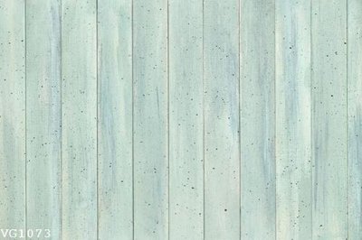 Chi tiết file tranh tráng gương File in vân gỗ VG1073 (ảnh gốc)