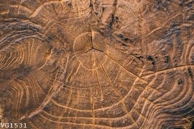 File ảnh File in vân gỗ VG1531 (gốc) in quảng cáo ngoài trời