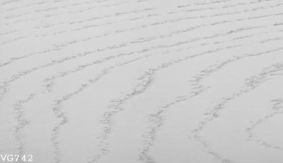 Tải file File in vân gỗ VG742 (ảnh gốc) in gạch men