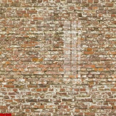 File tranh file in vân gạch , file tranh tường gạch VGG1555 (gốc) in film