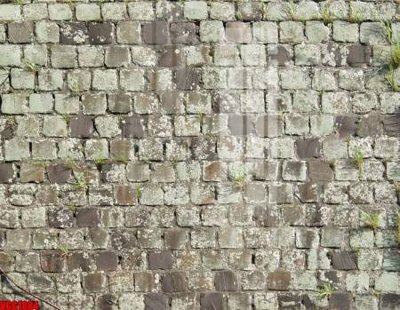 File tranh gốc file in vân gạch , file tranh tường gạch VGG1884 (bản quyền) độc đáo