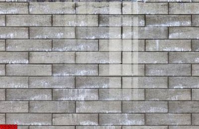 File tranh file in vân gạch , file tranh tường gạch VGG563 (file gốc) chủ đề phong thủy