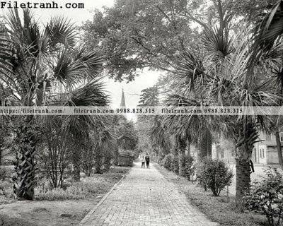 File PSD Vanishing Point_ 1907 (gốc) cho designer