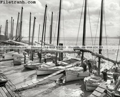 Download file gốc Young Nicholas_ 1906 (dùng cho in ấn)