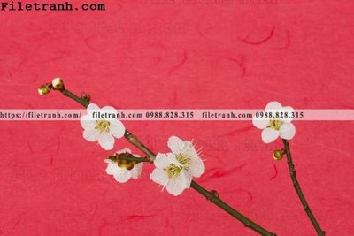 Download file gốc Zhang Tu Cam Thanh Trung Quoc Do 106 (in mica) trang trí