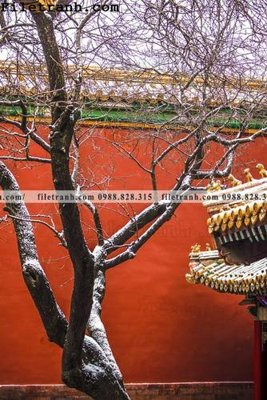 Tải file Zhang Tu Cam Thanh Trung Quoc Do 129 (PSD) cho in tranh 3D