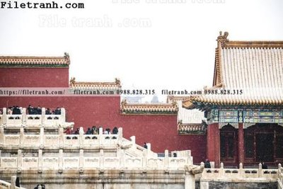 File gốc Zhang Tu Cam Thanh Trung Quoc Do 132 (in lụa) hoa văn cổ điển