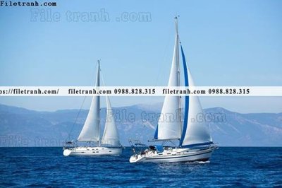 Ảnh gốc anh chup thuan buom xuoi gio 103 (độ nét cao) in mica