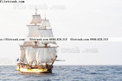 File in lụa anh chup thuan buom xuoi gio 117 (hoa văn) anh chup thuan buom xuoi gio 117