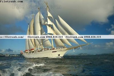 File gốc anh chup thuan buom xuoi gio 118 (vector) cho in ấn