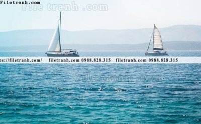 File in trần anh chup thuan buom xuoi gio 156 (bản gốc 3D) sống động