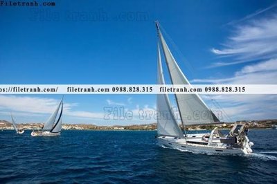 Download file gốc anh chup thuan buom xuoi gio 161 (in lụa) hoa lá