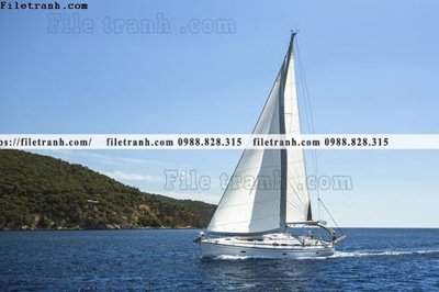 File tranh anh chup thuan buom xuoi gio 168 (bản gốc) in lụa dán tường