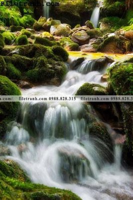 Ảnh gốc anh phong canh dung 110 (độ nét cao) in tráng gương