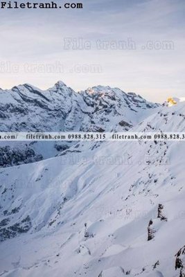 Tải file gốc anh phong canh dung 111 (để in lụa)