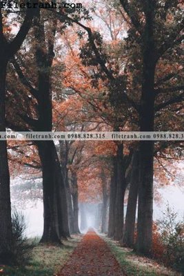 Tải file anh phong canh dung 122 (gốc) để in ấn ngay