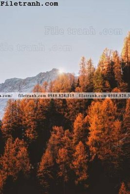 File tranh anh phong canh dung 170 (ảnh gốc) chi tiết rõ ràng