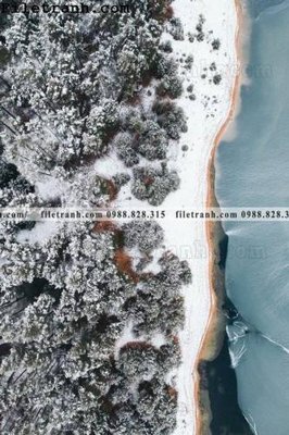 File gốc anh phong canh dung 175 (in lụa) trang trí tường