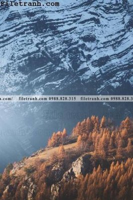 Tải về file gốc anh phong canh dung 176 (chuẩn in ấn)