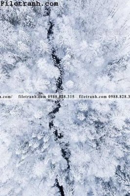 File tranh anh phong canh dung 183 (gốc) chủ đề con người