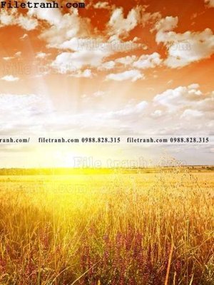 File gốc anh phong canh dung 223 (in ấn) không giới hạn