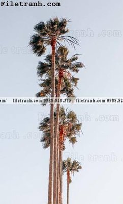 File in trần anh phong canh dung 234 (bản gốc) hoa văn