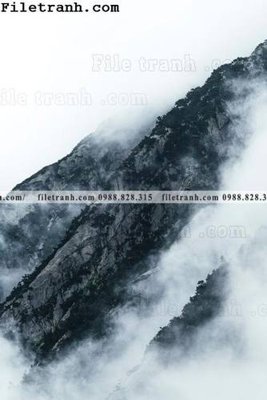 Tải về hình ảnh gốc anh phong canh dung 241 sắc nét