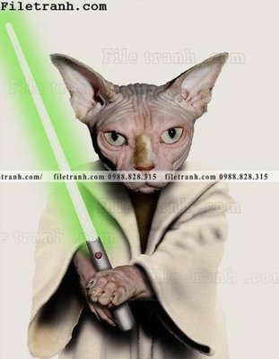 File ảnh anh ve cac ngoi sao thu cung duoc ca nhan hoa 103 (gốc) cho trang trí nội thất