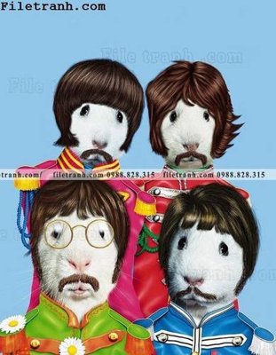 File tranh in tráng gương anh ve cac ngoi sao thu cung duoc ca nhan hoa 110 (siêu nét)