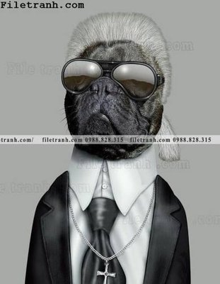 Tải file anh ve cac ngoi sao thu cung duoc ca nhan hoa 114 (gốc) làm tranh treo tường