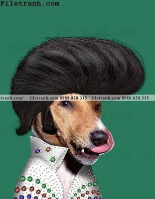 File in trần anh ve cac ngoi sao thu cung duoc ca nhan hoa 124 (bản gốc) trời sao