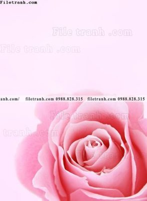 Download file bac au moi mau hong 514 (gốc) in mica bàn thờ