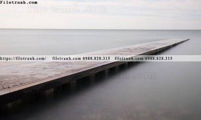 Download file gốc bai bien dai duong 236 (in mica) 3D