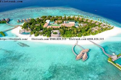 Mua file tranh gốc bai bien dai duong 292 tại Filetranh.com