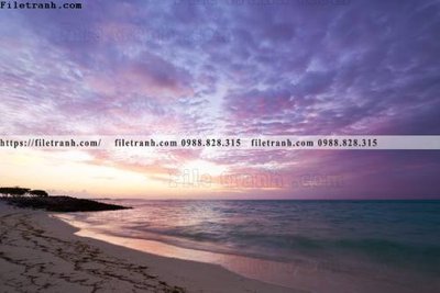 Mua file gốc bai bien dai duong 363 (PSD) tại Filetranh.com