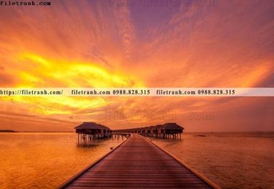 Tải file bai bien dai duong 364 (ảnh gốc) file TIFF