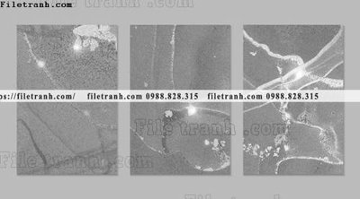 File gốc bo 3 tam tranh truu tuong 148 (in lụa) tranh mã đáo