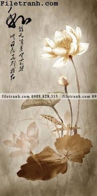 File ảnh bong hoa sen trung quoc 103 (gốc) in standee