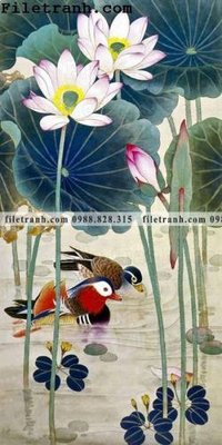 Tải file tranh gốc bong hoa sen trung quoc 105 chất lượng cao