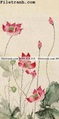 Download file bong hoa sen trung quoc 110 (chuẩn in) chất lượng cao