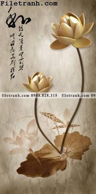 File in trần bong hoa sen trung quoc 134 (bản gốc) đại dương